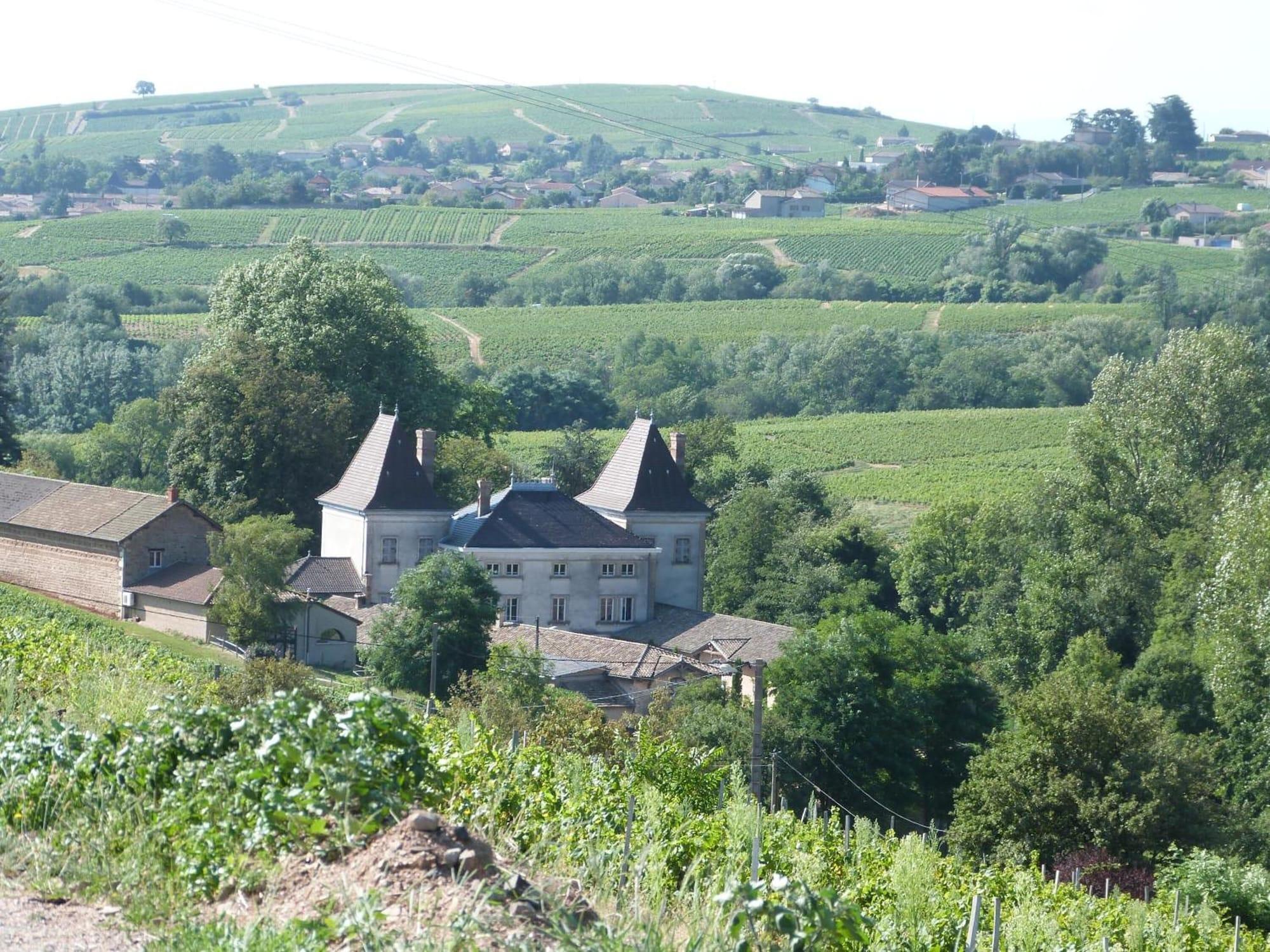 Logis Hotel Des Grands Vins Fleurie Exteriör bild