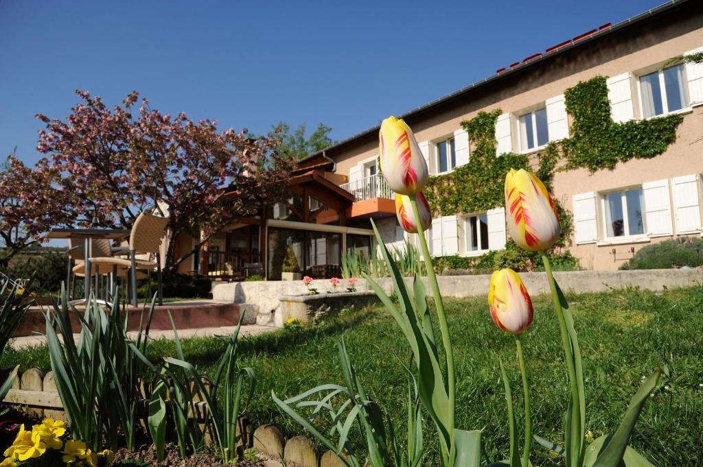 Logis Hotel Des Grands Vins Fleurie Exteriör bild