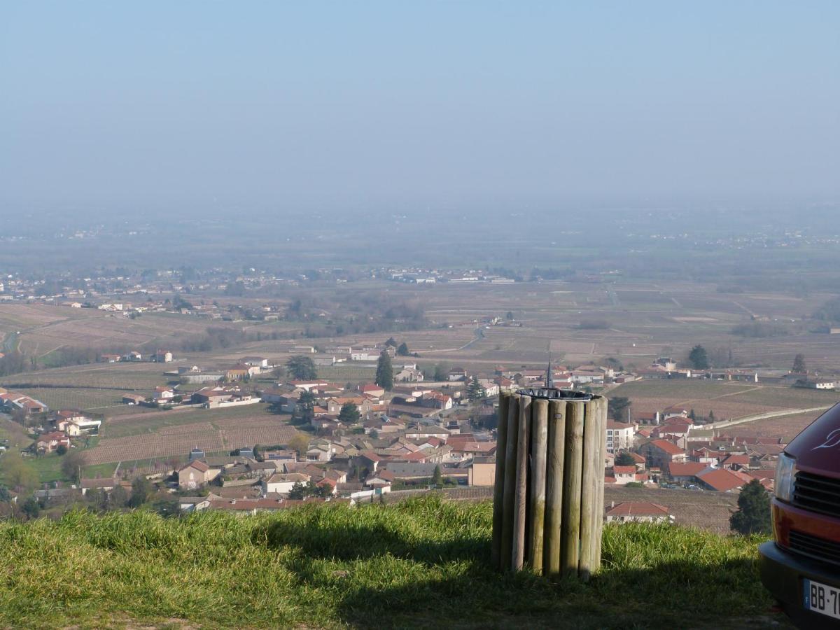 Logis Hotel Des Grands Vins Fleurie Exteriör bild