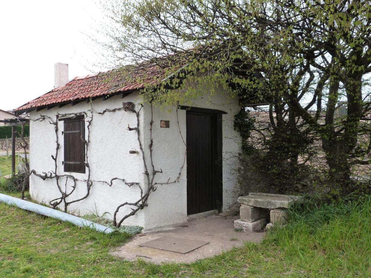 Logis Hotel Des Grands Vins Fleurie Exteriör bild